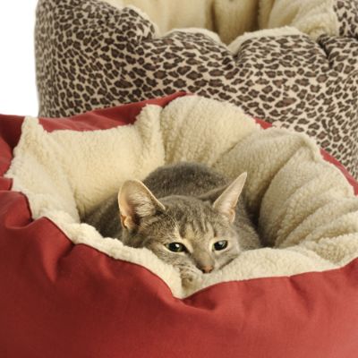Cat Sherpa Bed Frontgate