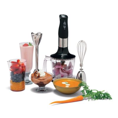 Wolfgang Puck Immersion Blender Frontgate