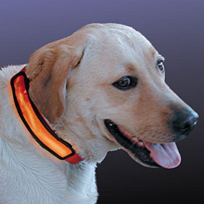 LED Lighted Dog Collar Sleeve Frontgate