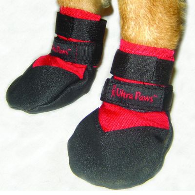 Durable Dog Boots Frontgate