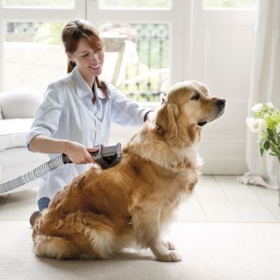 Dyson Vacuum Grooming Brush Frontgate