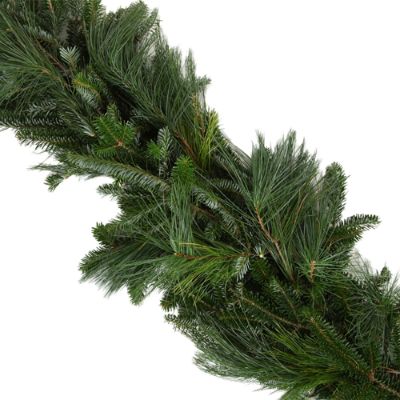 Fresh Mixed Fraser Pine Holiday Garland Frontgate
