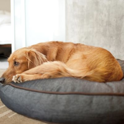 Round Denim Pet Bed Frontgate