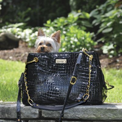 Windsor Pet Carrier Frontgate