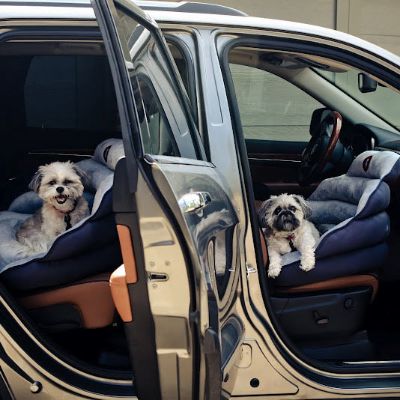 Pet Protection Car Seat Frontgate
