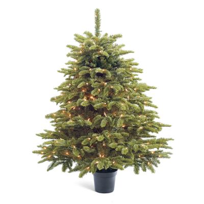 Tabletop Grand Noble Christmas Tree Frontgate