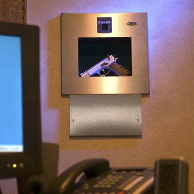 Biometric Wall Safe Frontgate