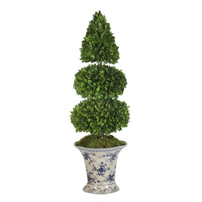 Boxwood Topiary in Rose Trellis Vase Frontgate