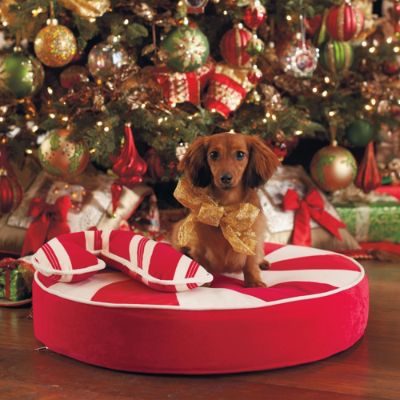Peppermint Swirl Pet Bed Frontgate