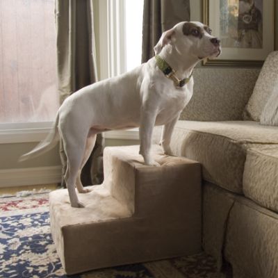 Animals Matter ® Lightweight Portable Pet Steps Frontgate