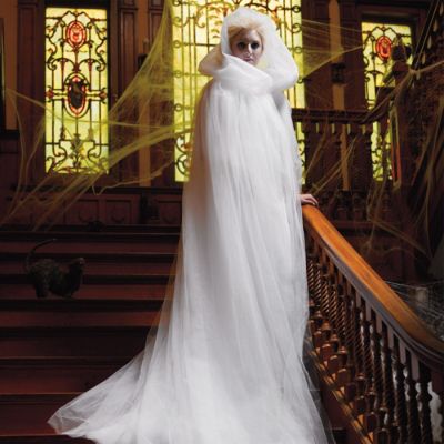 Martha Stewart Ghost Costume Grandin Road