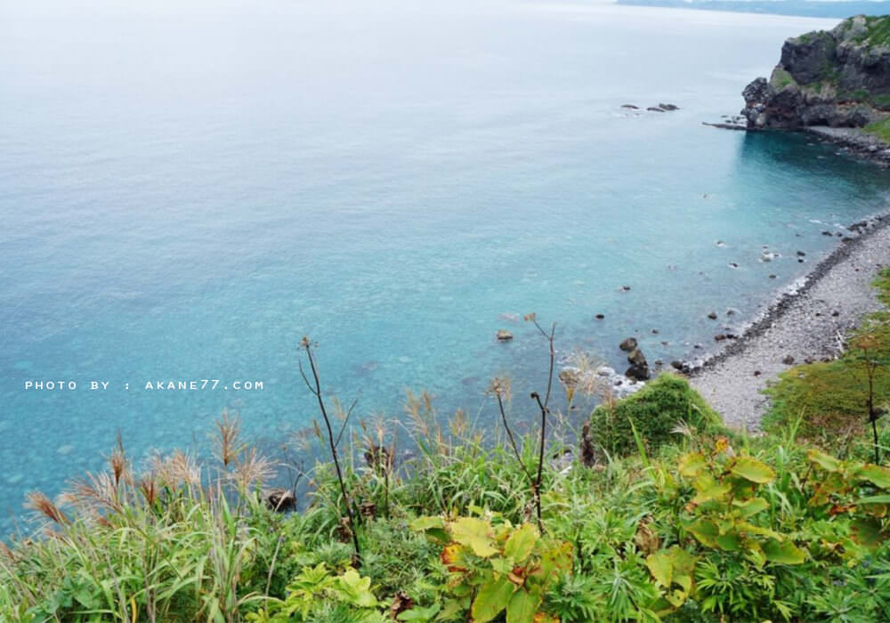 北海道小樽 積丹半島神威岬 吃海膽、看絕景