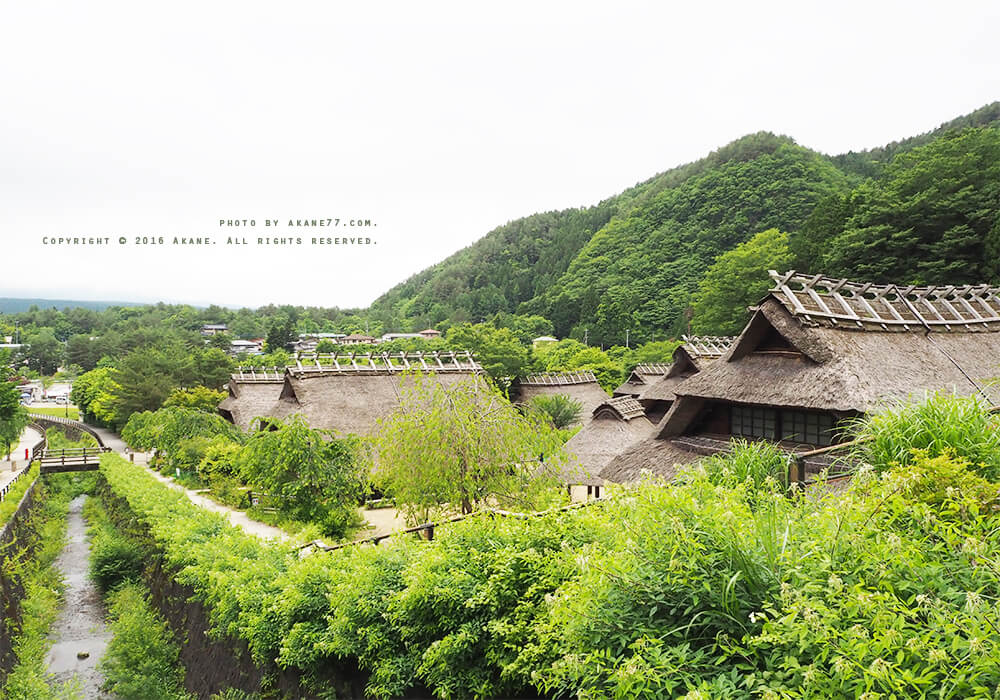 富士山河口湖⎮這不是合掌村 西湖療癒里根場 西湖いやしの里根場