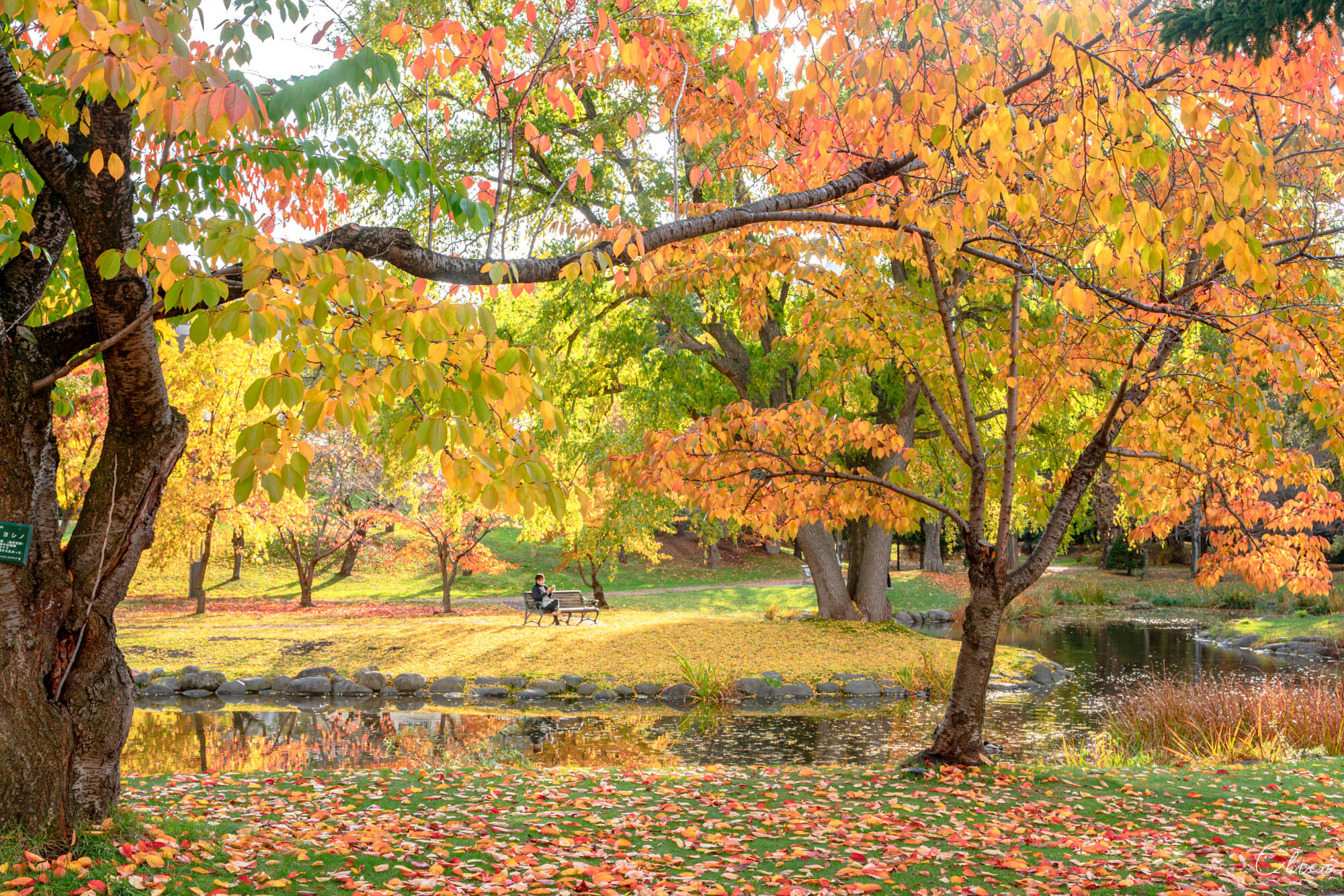北海道札幌景點 中島公園