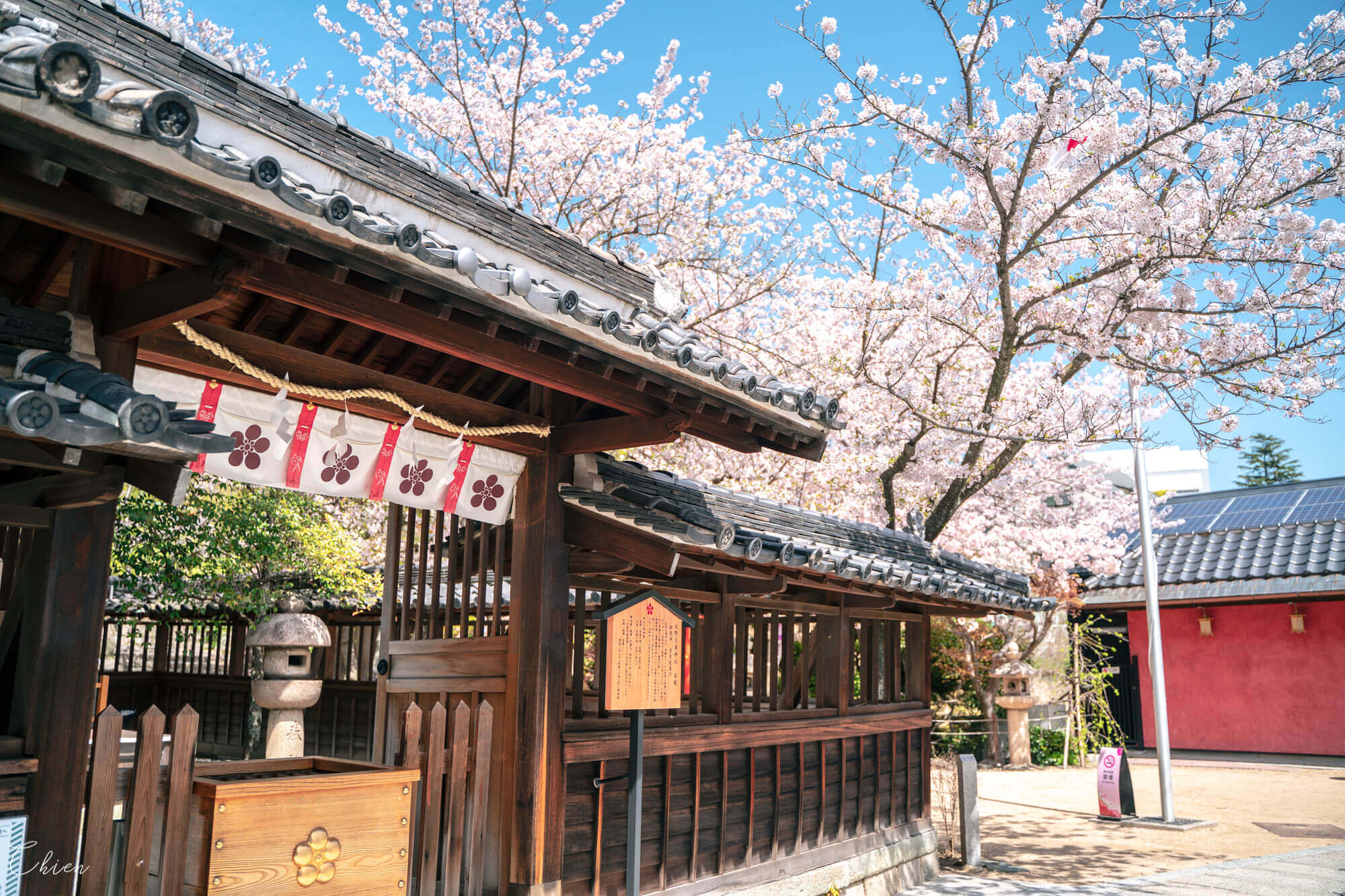 兵庫神戶春賞櫻 北野天滿神社