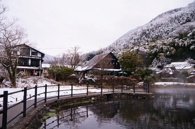 【九州大分】湯布院(由布院)散策(下) 湯の坪街道、金麟湖