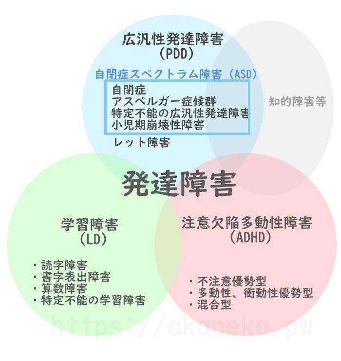 広汎性発達障害とは？ADHDやASDとの違いは？ あかねのアスペルガー人生