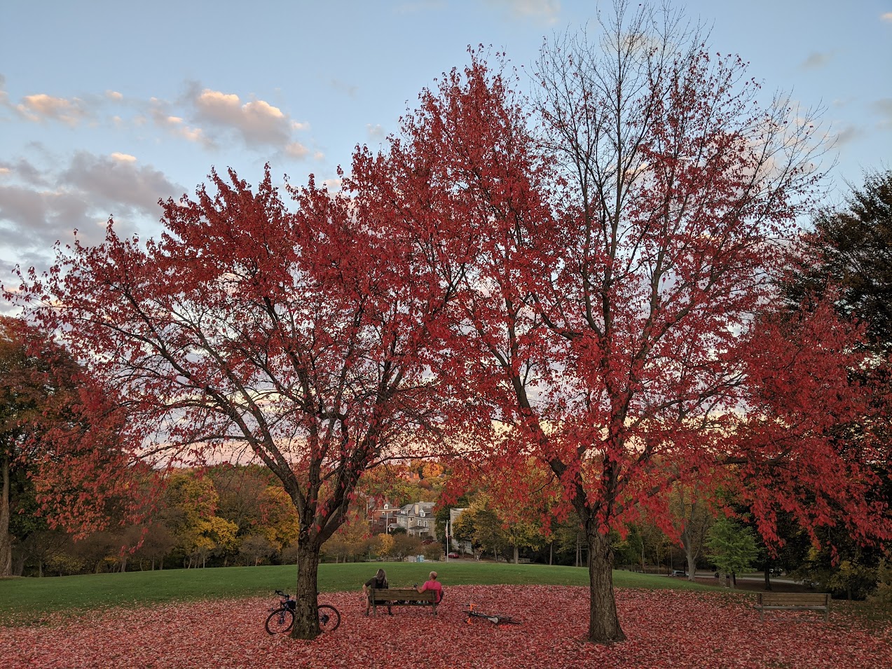 Miscellaneous Akarsh Prabhakara