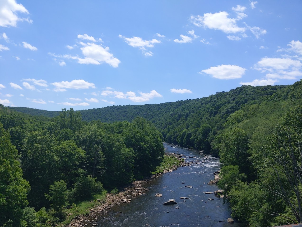 Miscellaneous Akarsh Prabhakara