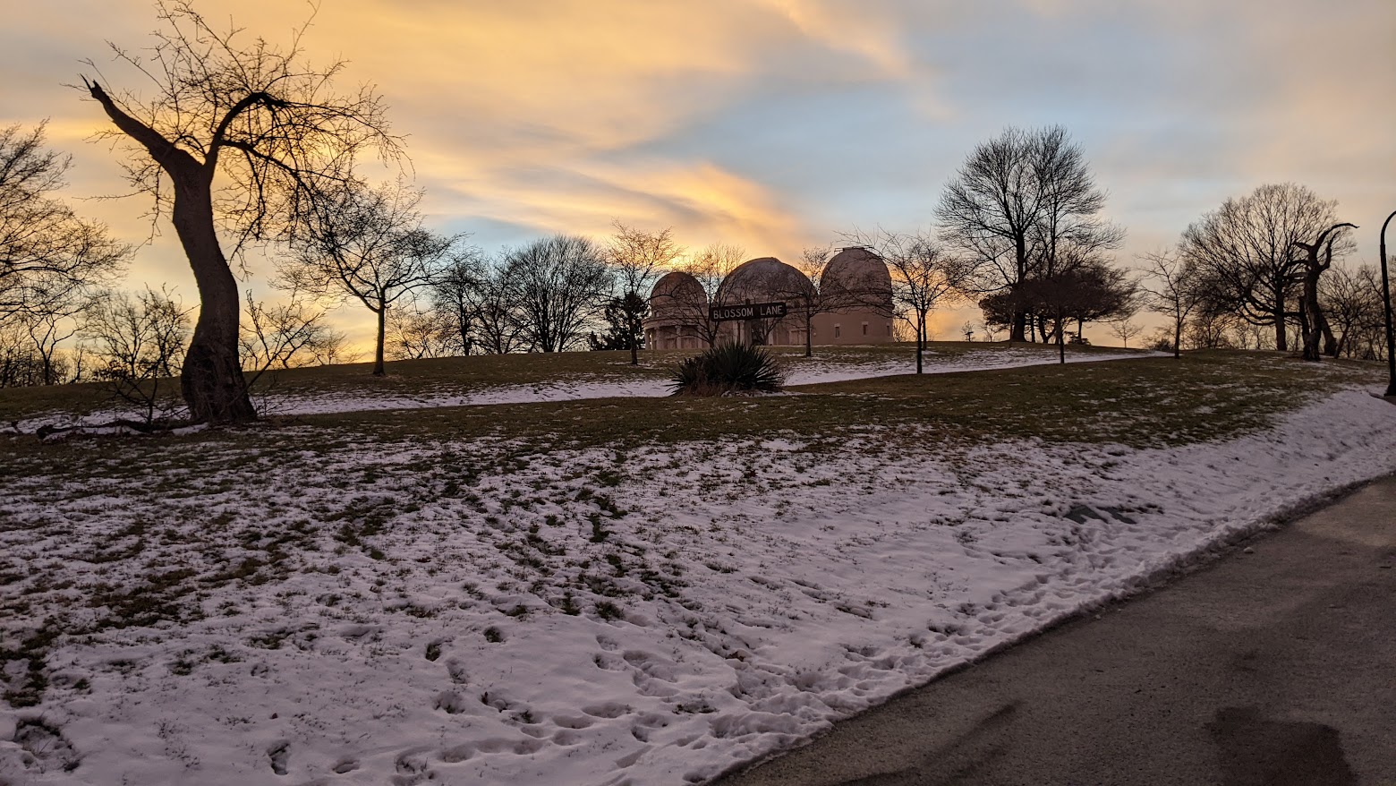 Miscellaneous Akarsh Prabhakara