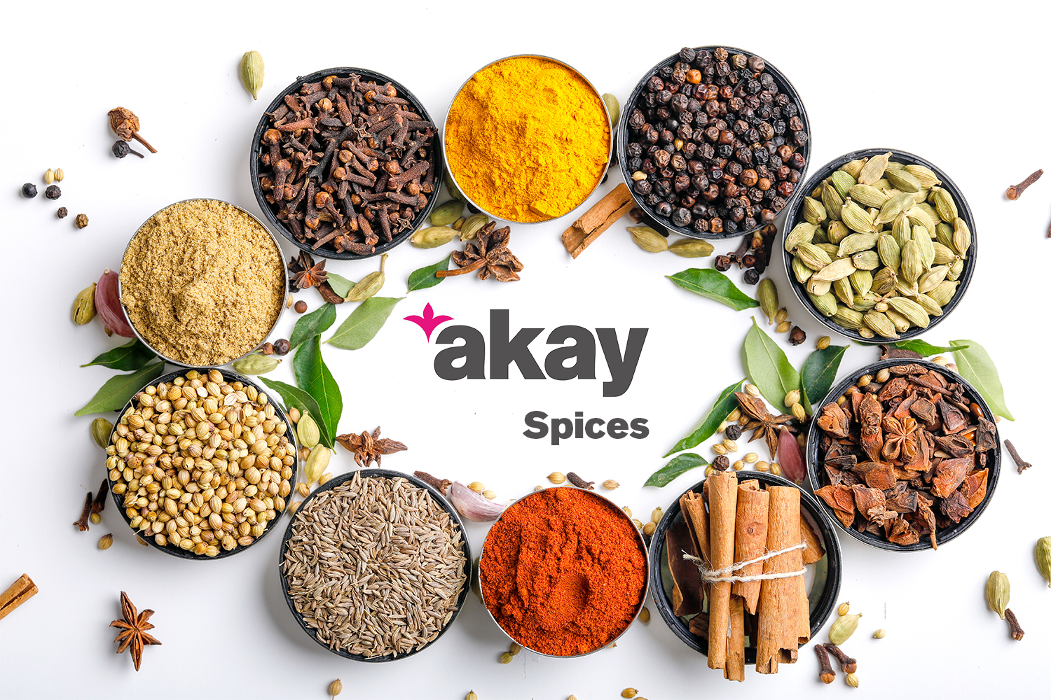 Akay Spices Akay Group Oleoresin manufacturer Nutraceutical Bio