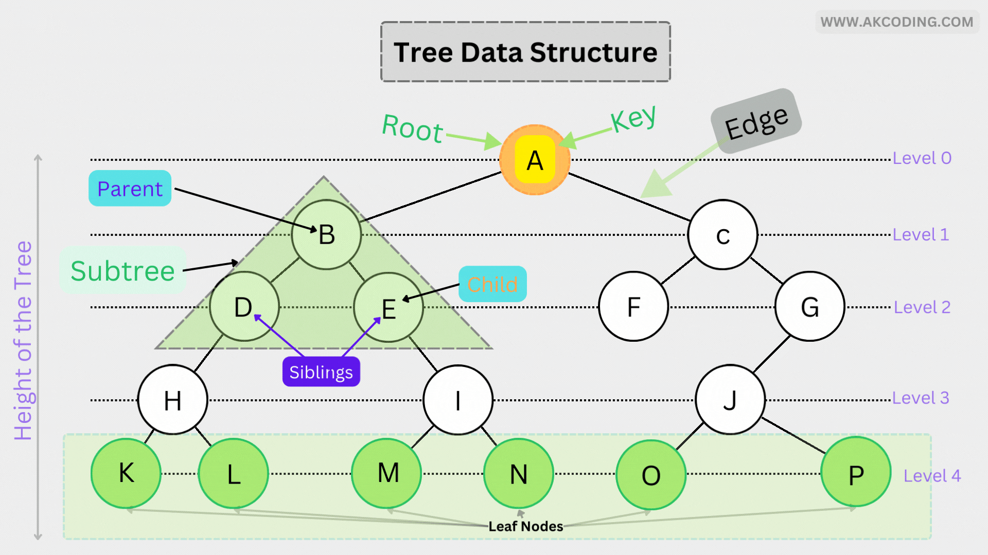 Tree Data Structure Top 10 Types of Trees
