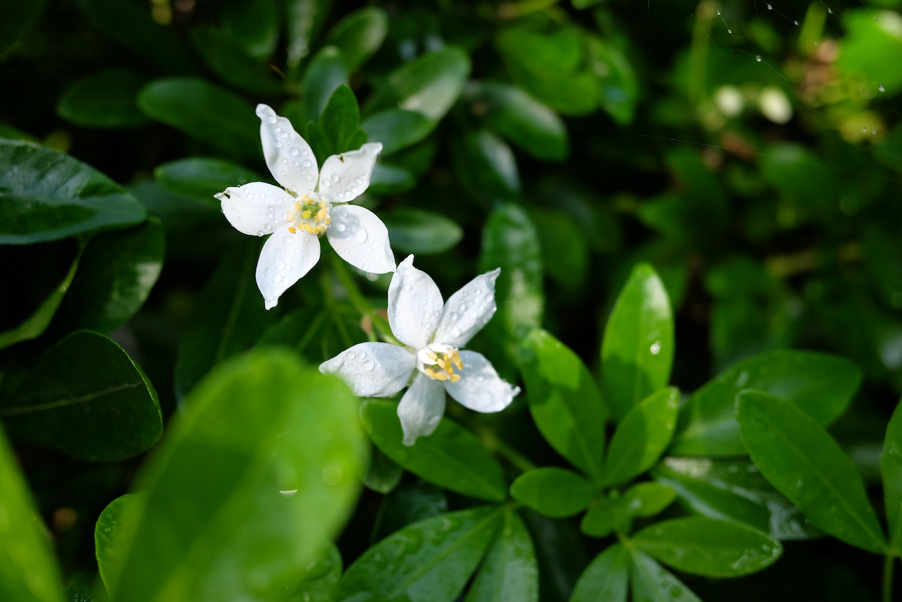 My Two Moms Taught Me Most Important Lessons in Life Life is a Journey