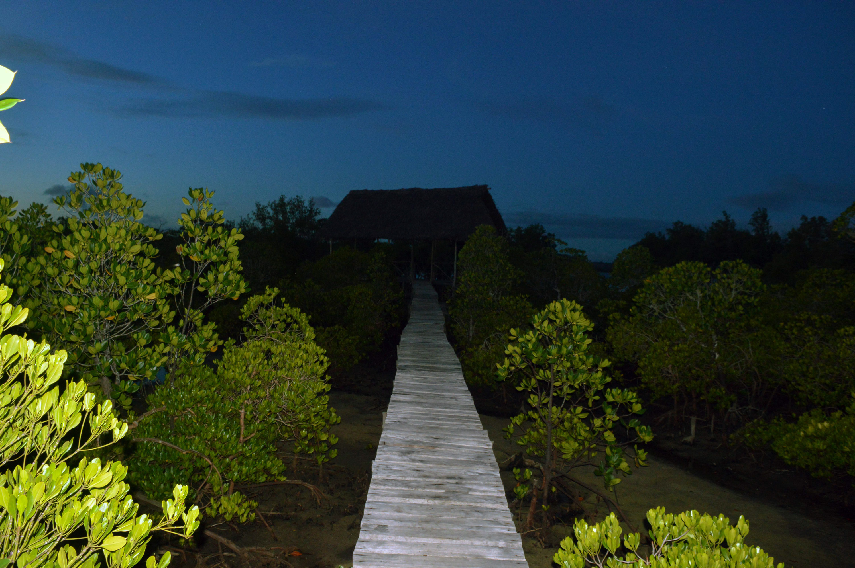 KILIFI AND AND ITS ARRAY OF ACCESSIBLE TOURIST ATTRACTIONS akenyannomad