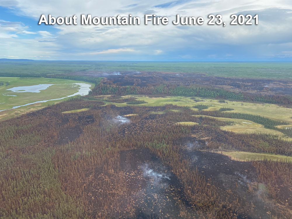 Takotna and McGrath Fuel Break Project Funded with Work to Begin This