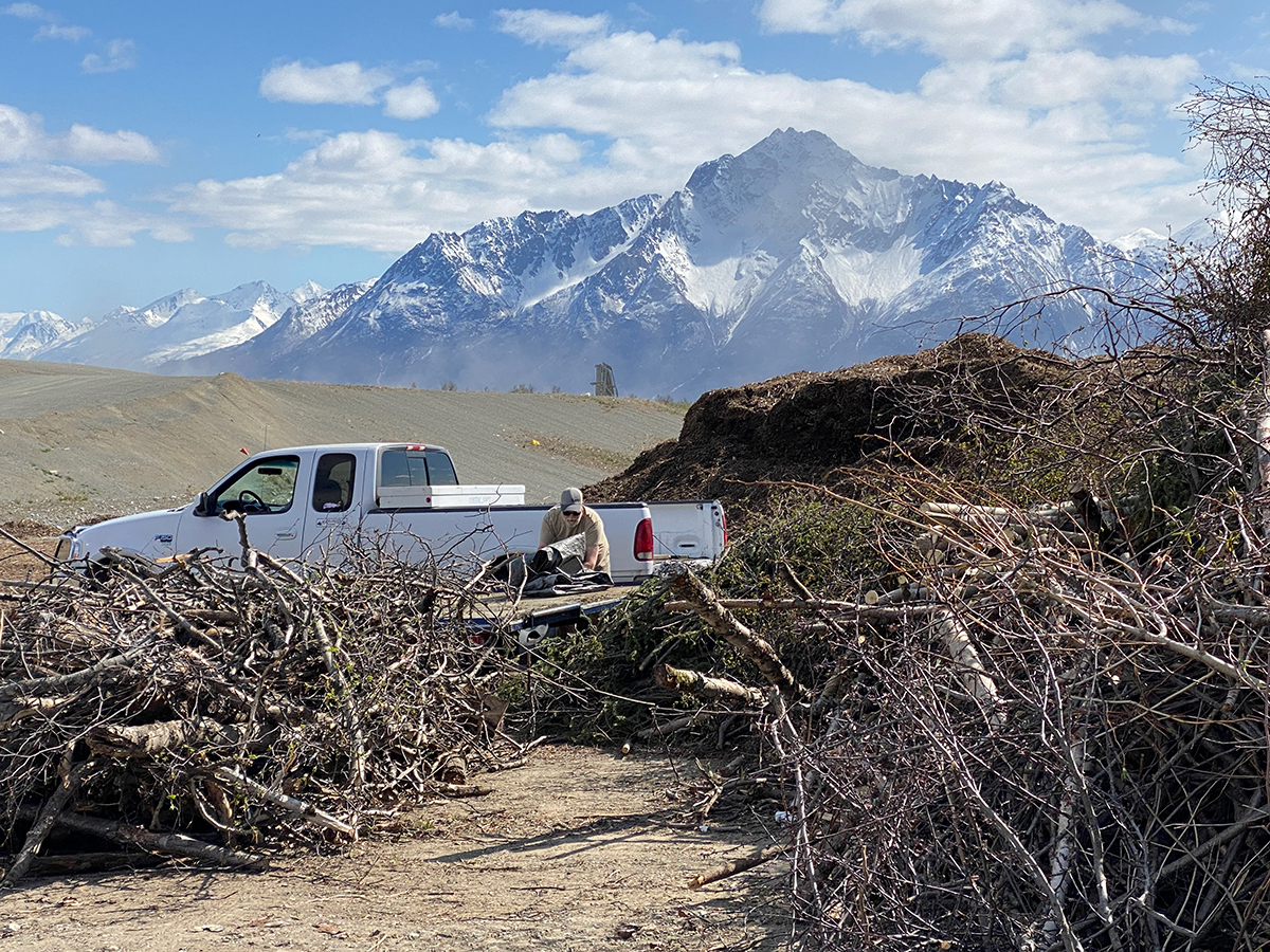 Free brush disposal at more landfills helps Alaskans safely firewise
