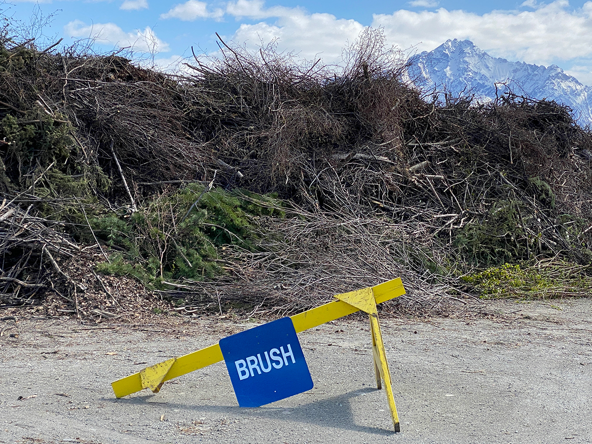 Free brush disposal at more landfills helps Alaskans safely firewise