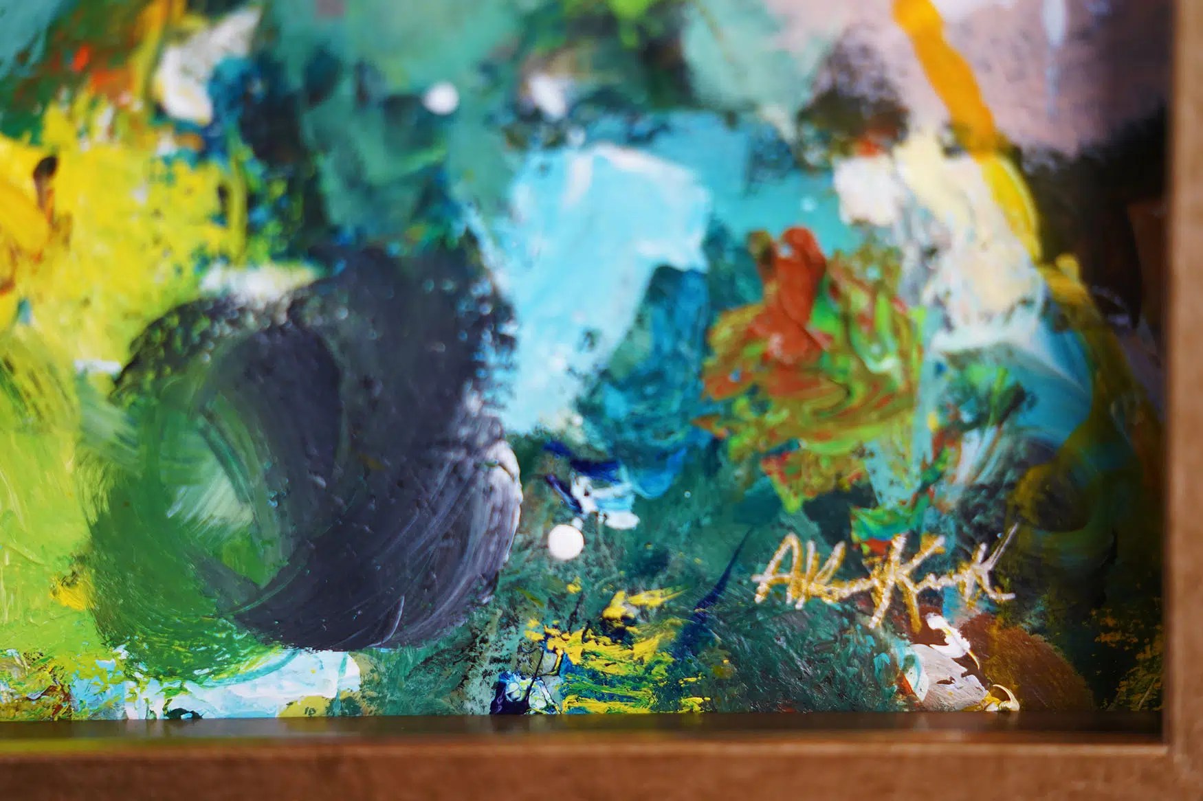 10b Official Akiane Gallery