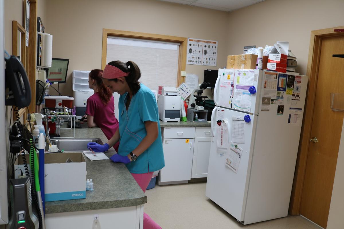 Diagnostics and Lab Akin Hills Pet Hospital