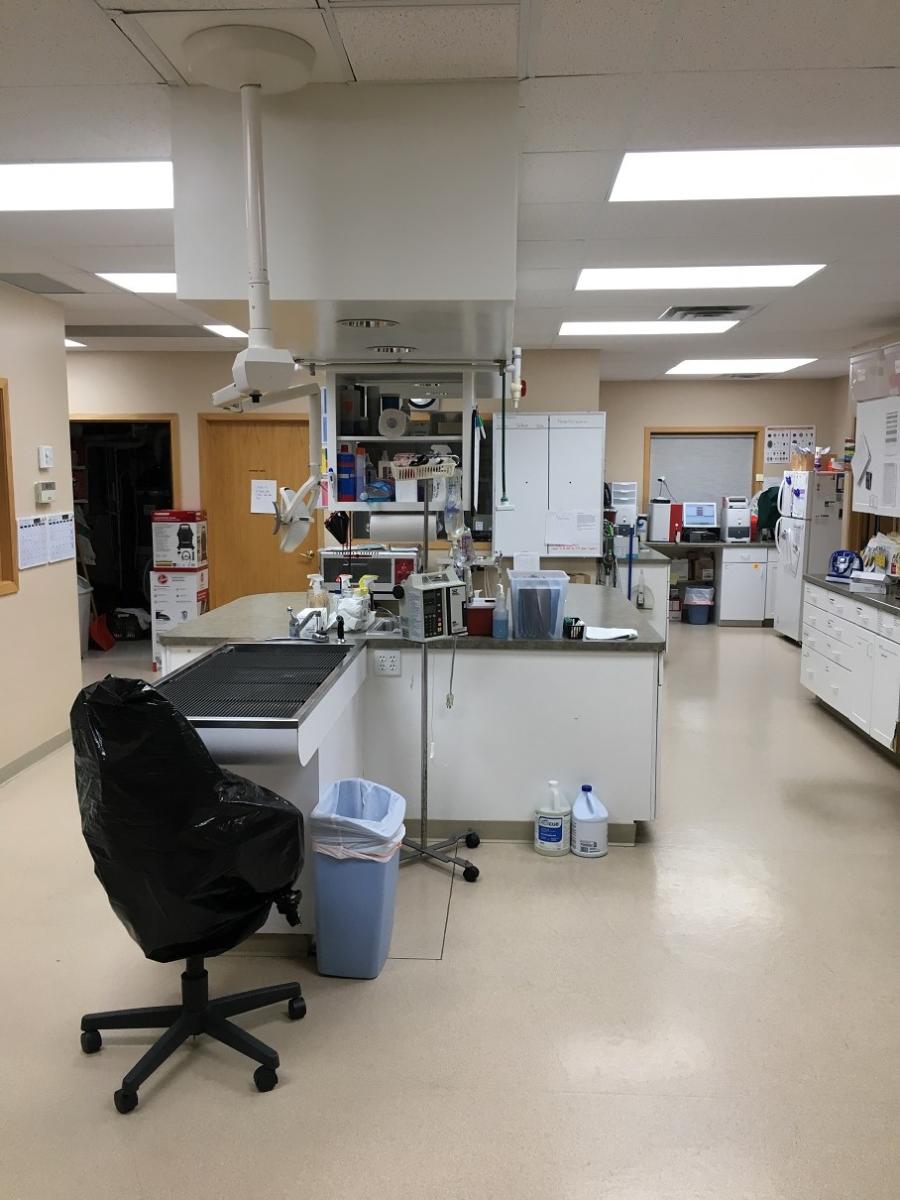 Diagnostics and Lab Akin Hills Pet Hospital