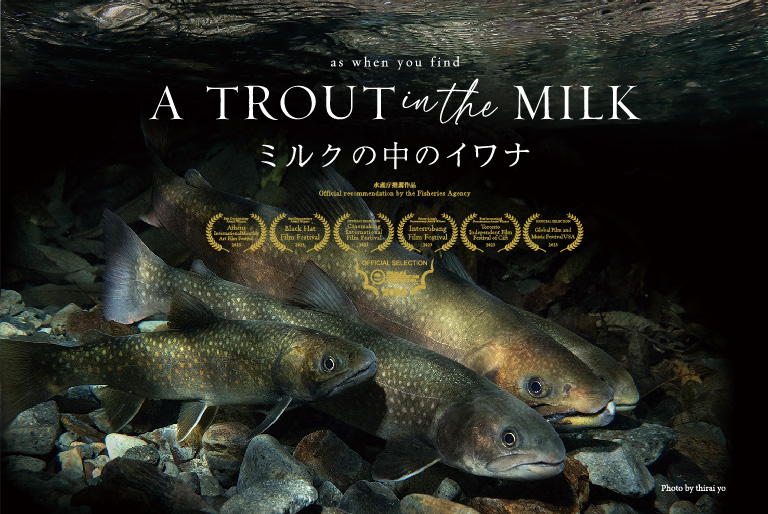 映画『A TROUT in the MILK ミルクの中のイワナ』上映会・トークイベント イベント・プロジェクト 秋田市文化創造館