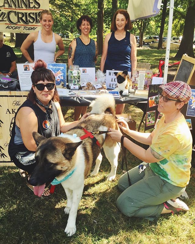 About MARS Midwest Akita Rescue Society