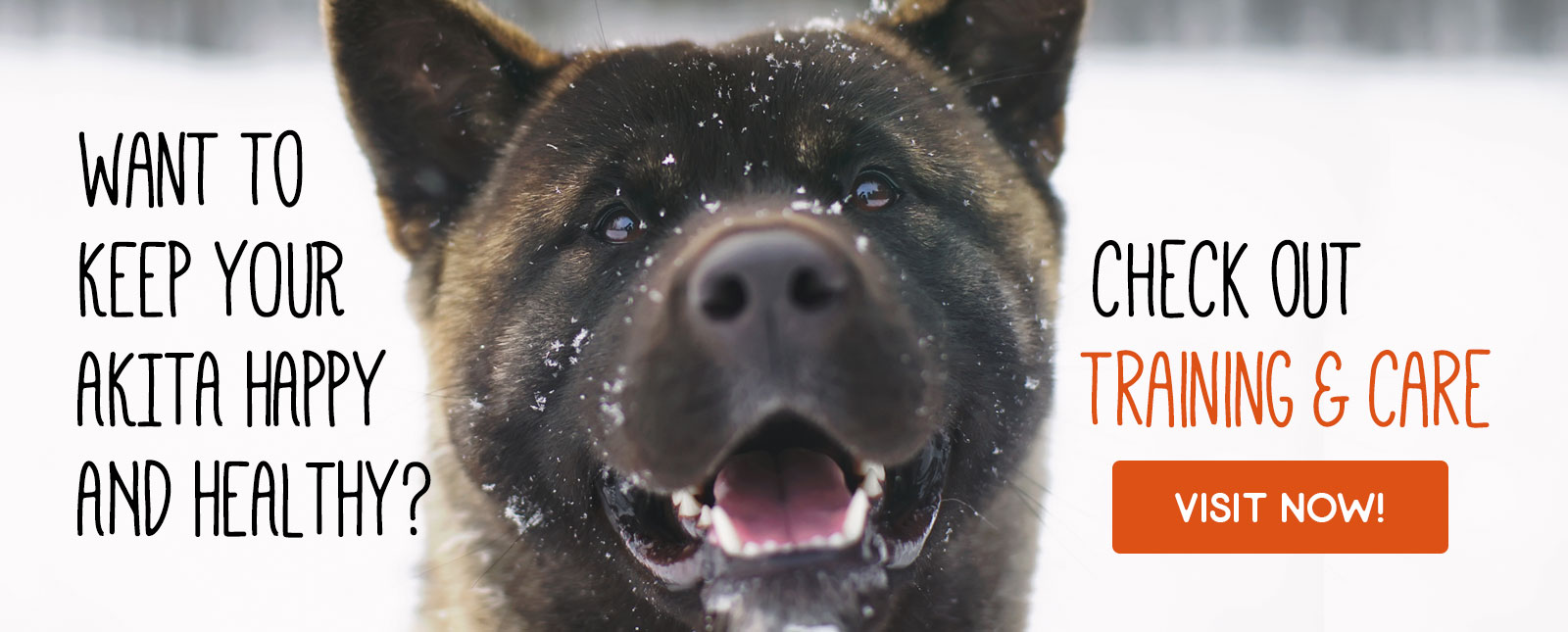 Midwest Akita Rescue Society (MARS) Serving the Illinois, Indiana, Wisconsin, Michigan, Ohio