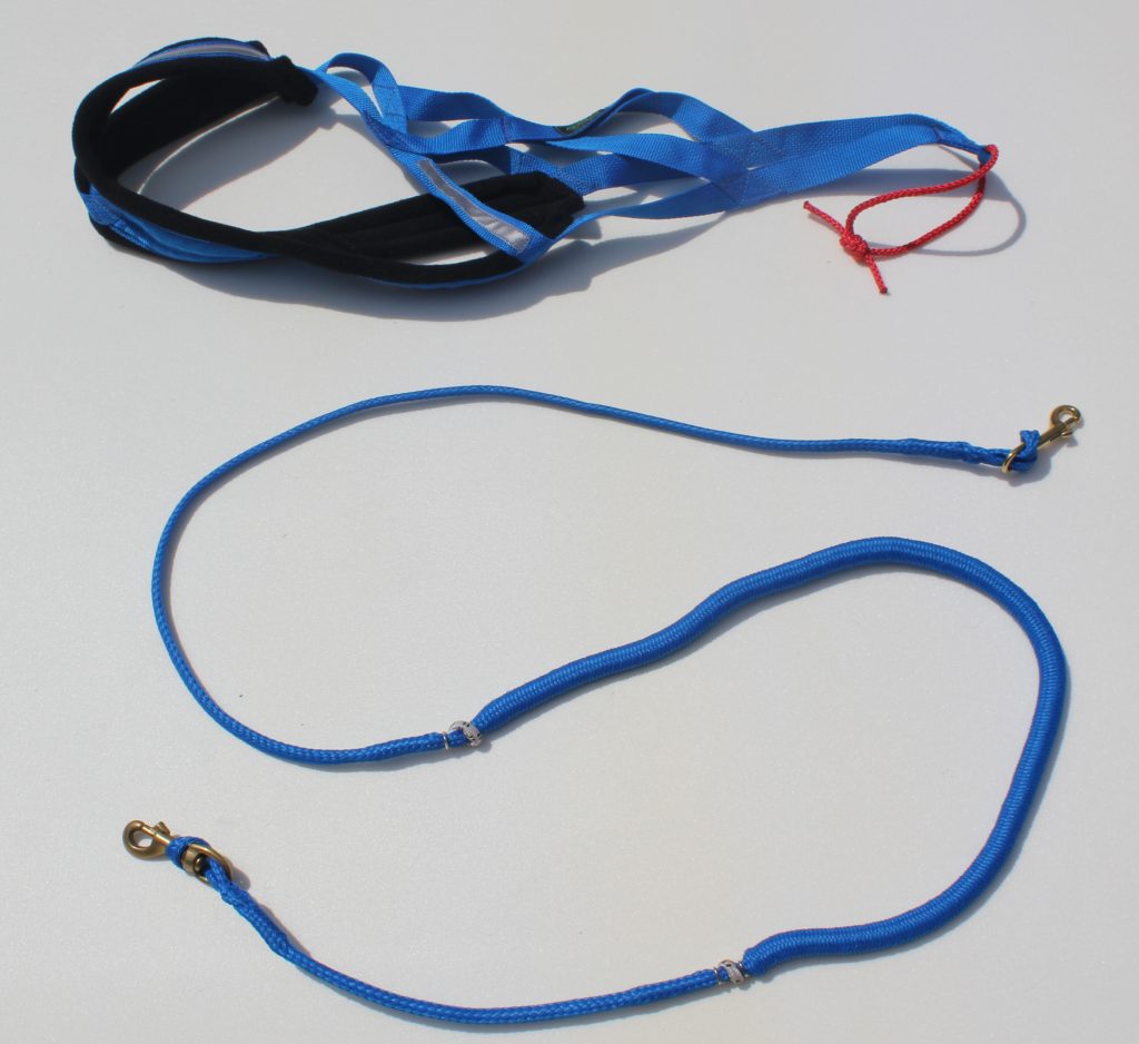 Bikejoring Starter Kit with XBack pulling Harness made in Canada AKKO Sports