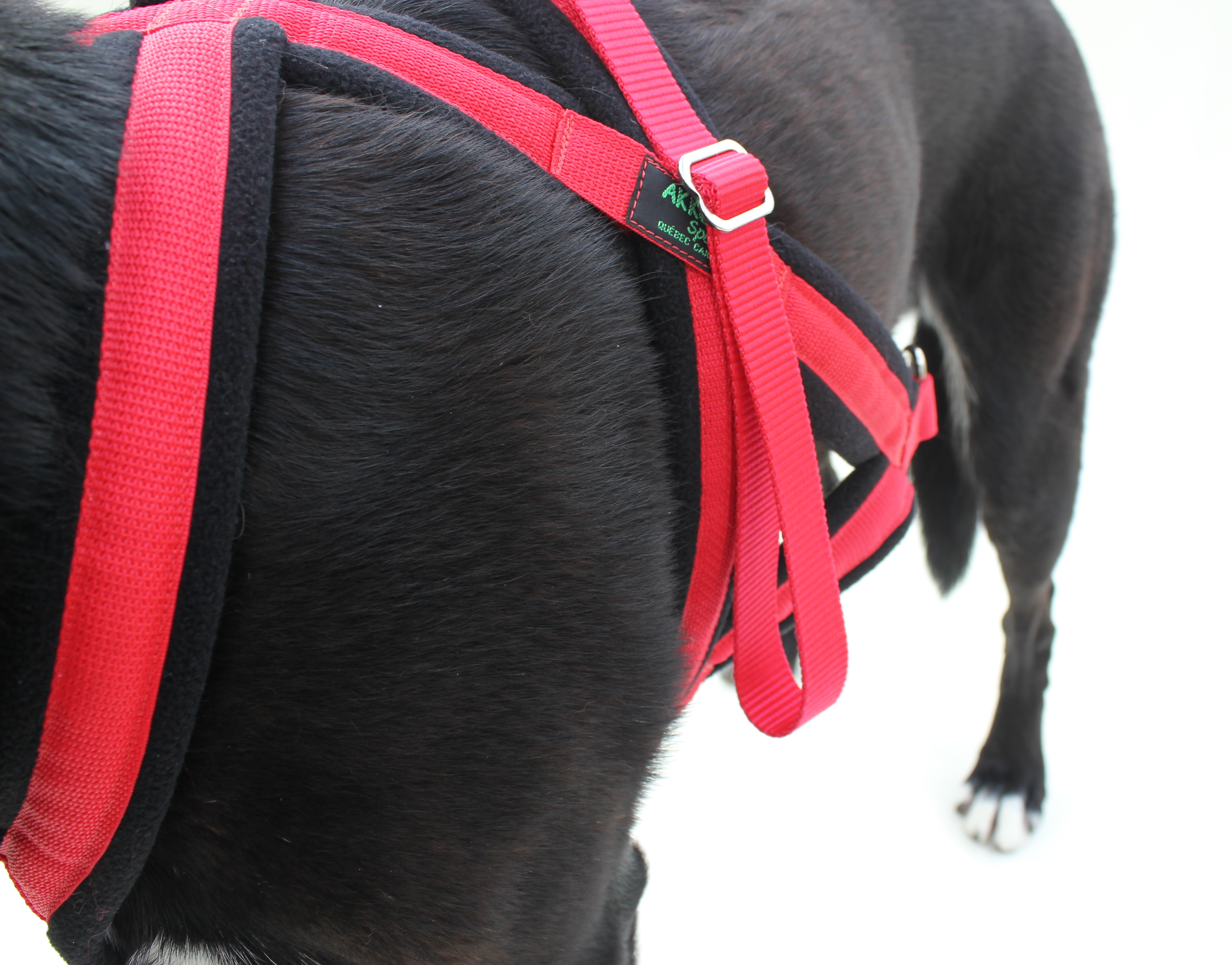 Carting/Drafting dog pulling Harness made in Canada AKKO Sports