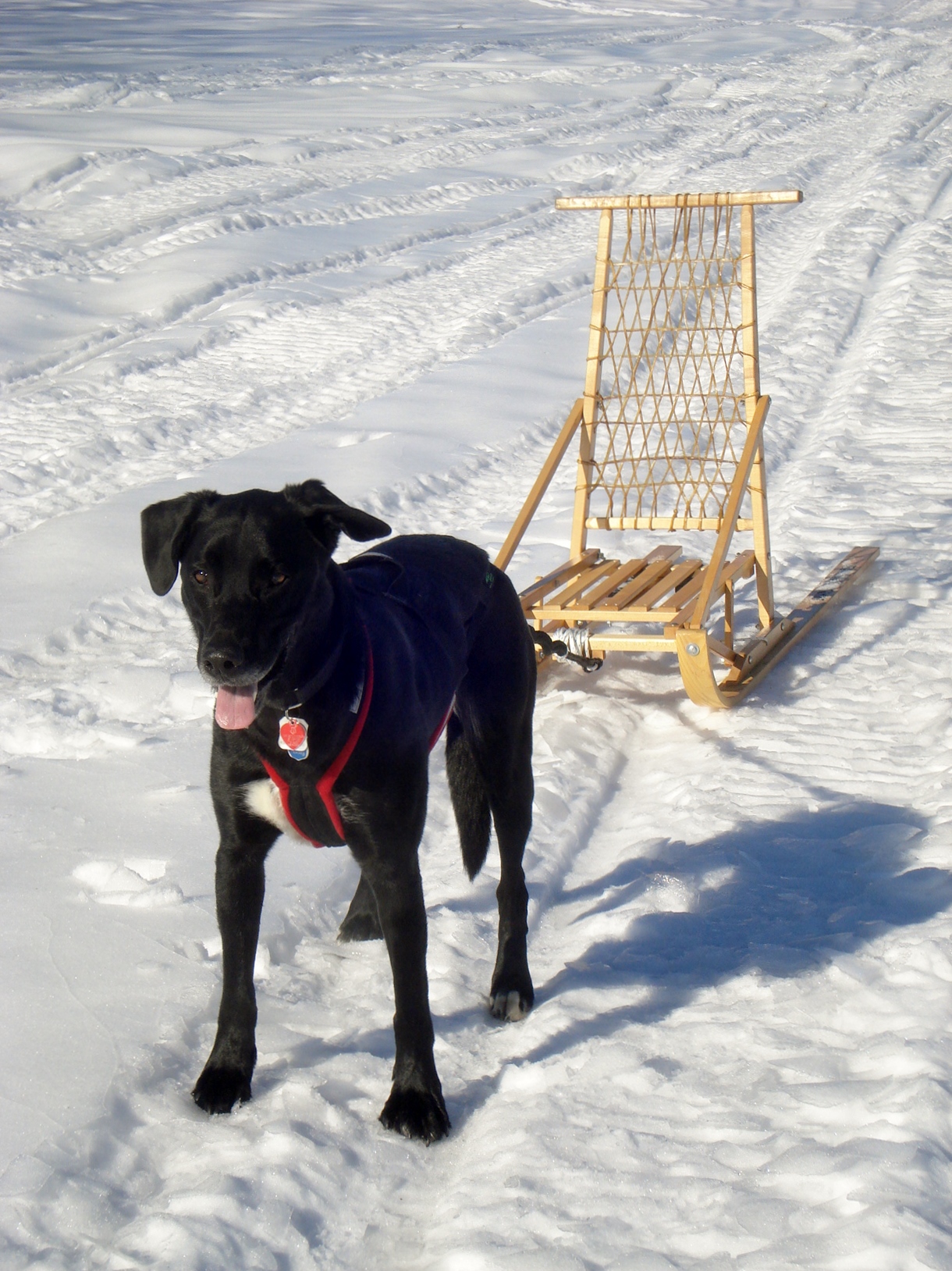 Wooden foldable Kicksled with UHMW Runners made in Canada! AKKO Sports