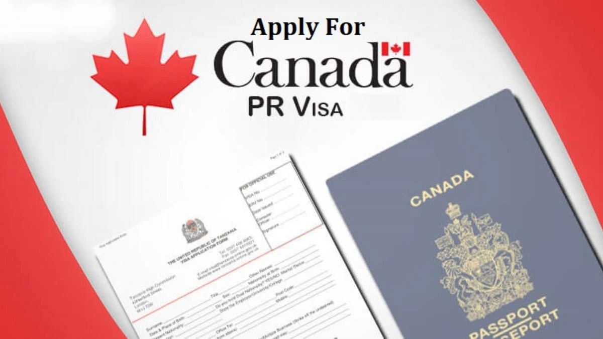 How can I apply for Canada PR? Information News