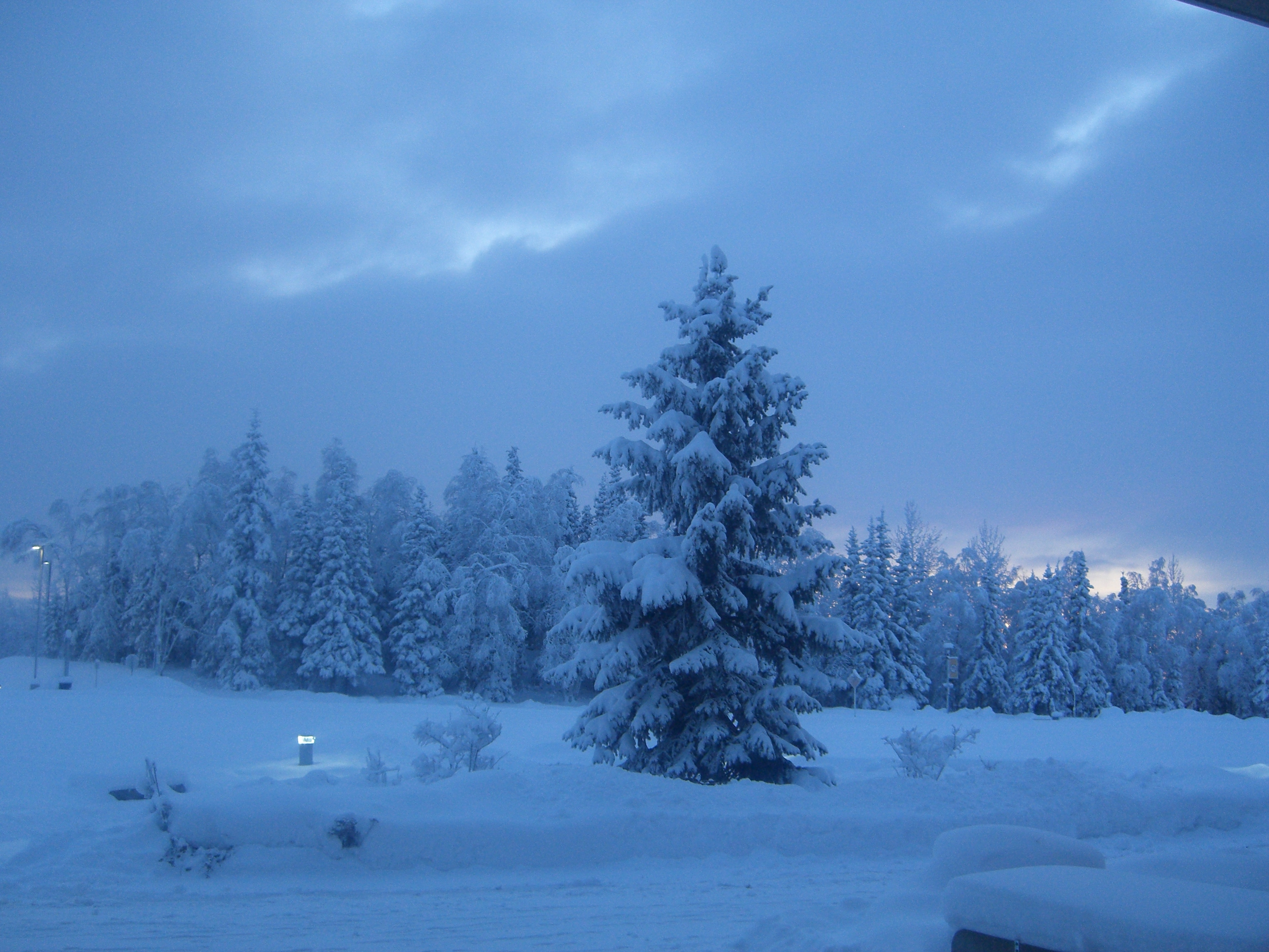 Winter Activities in Alaska Where the odds are good, but the " goods