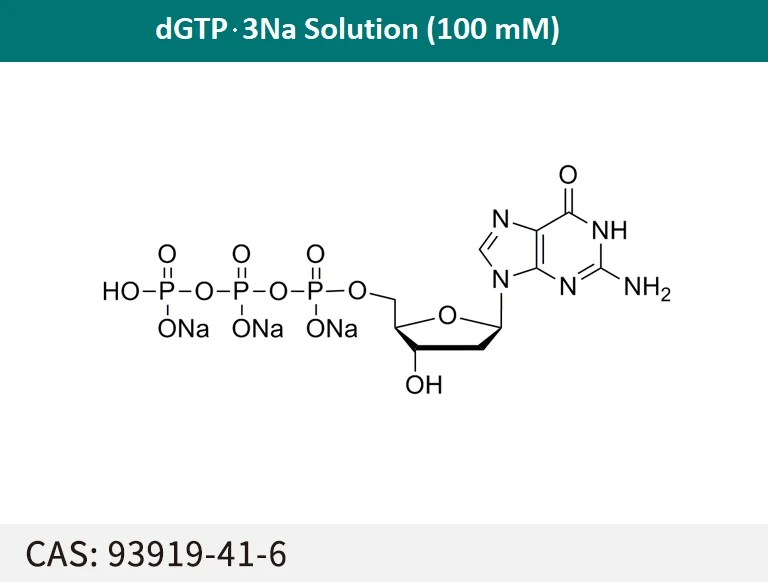 dGTP sodium solution(100mM/L) Akonscientific