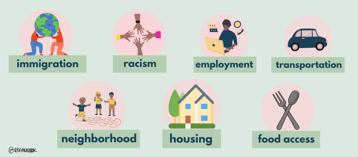 Social Determinants of Health 101 A Kritical Look