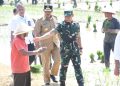 Panglima TNI Dampingi Presiden RI Tanam Padi di Jawa Tengah