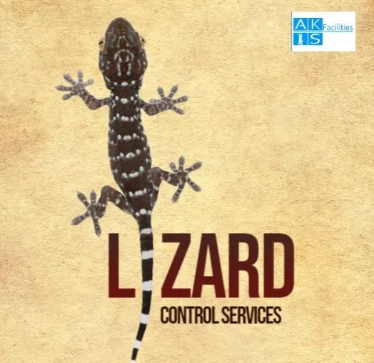 1 Best Lizard Control Services In Gurgaon Organic Store