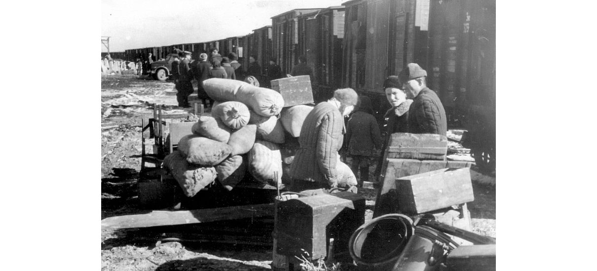 Архив переселенцев. Калининград первые переселенцы. Калининград переселенцы 1946 год. В 1946 переселенцы в Калининградскую область после войны. Переселение в Калининград в 1945