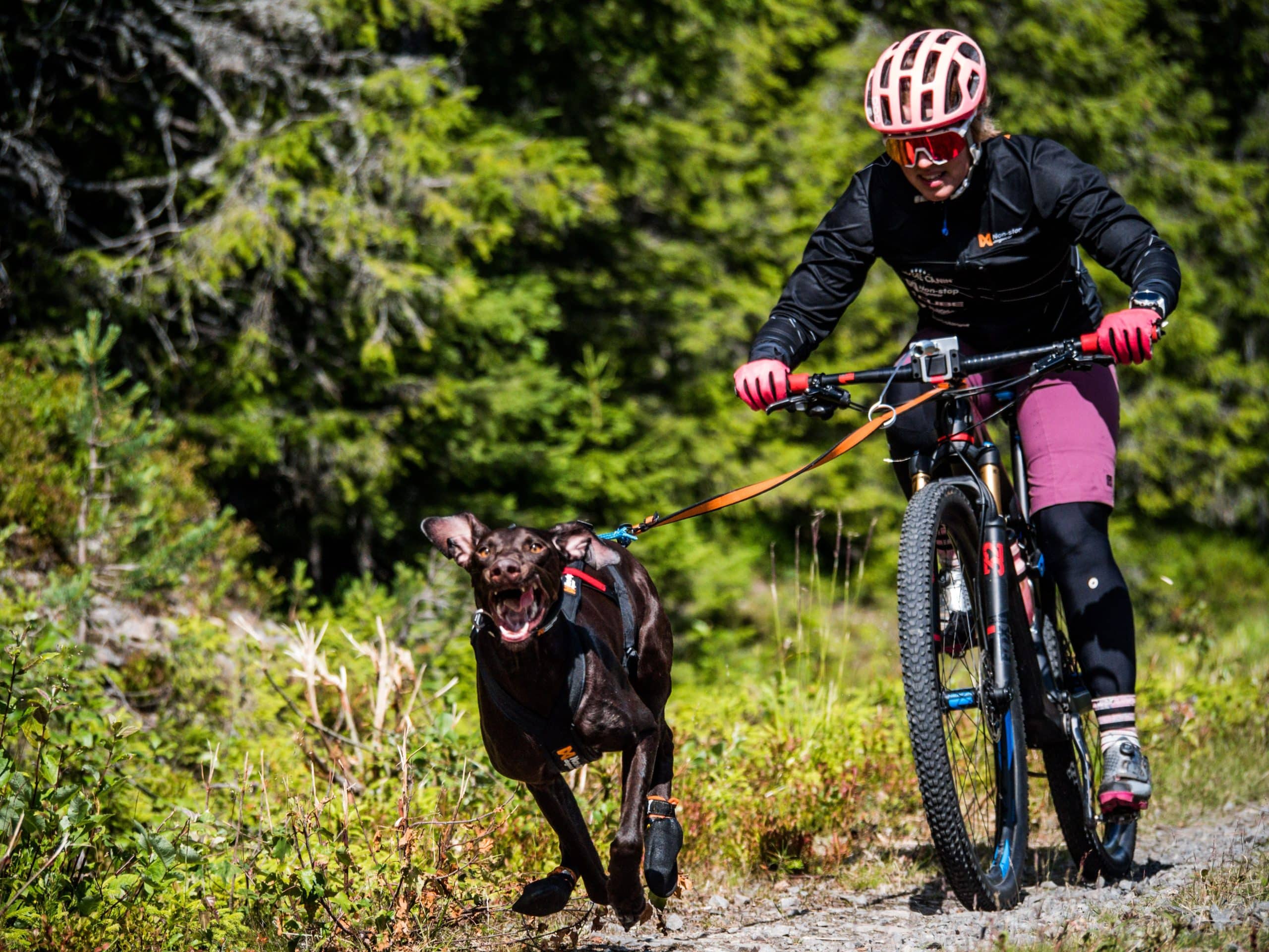 NONSTOP DOGWEAR Bike antenna KLICKfix ® Aktivity