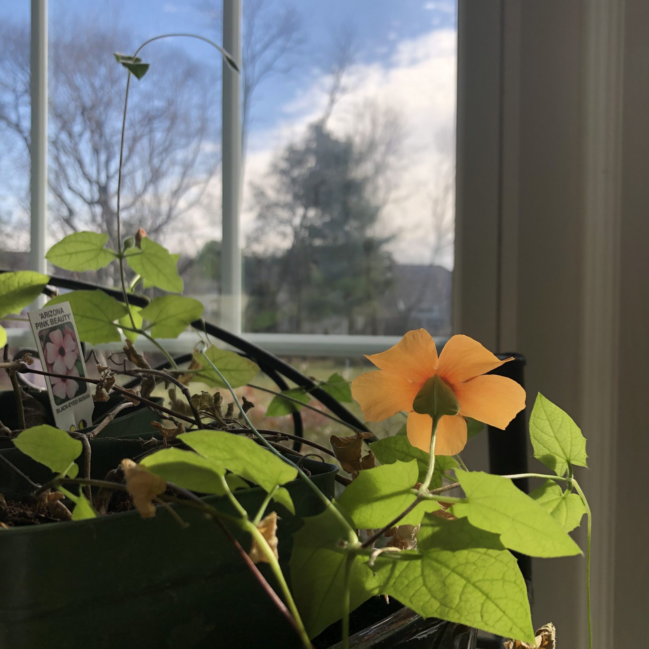 Do This 1 Thing to Grow Plants, Skills, and Relationships Better