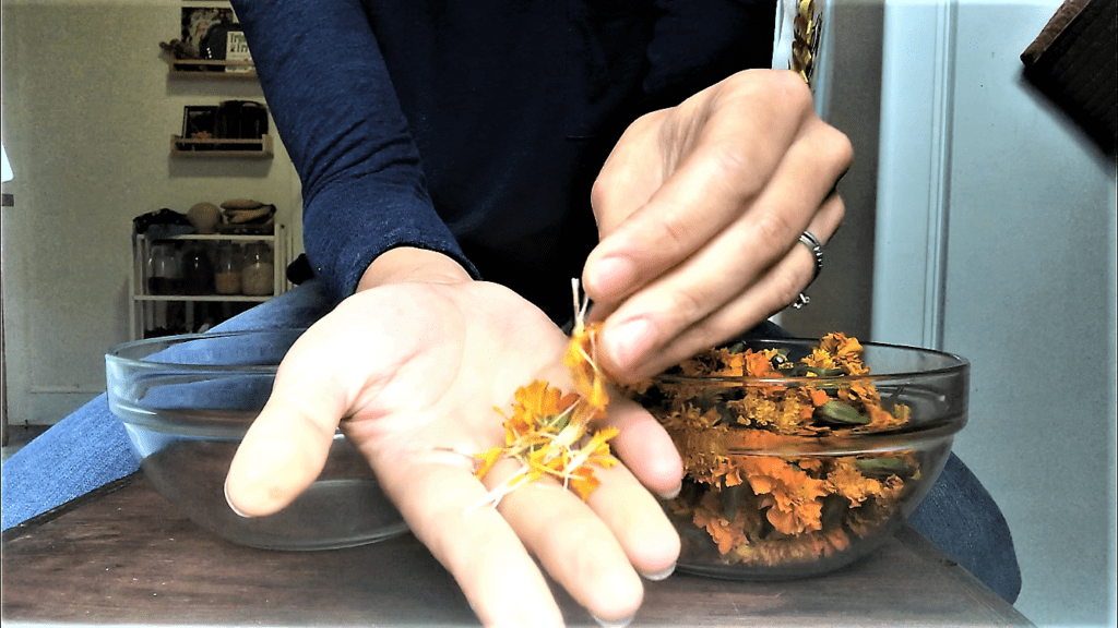 How to Dry Marigolds